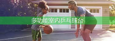 多功能室内乒乓球台