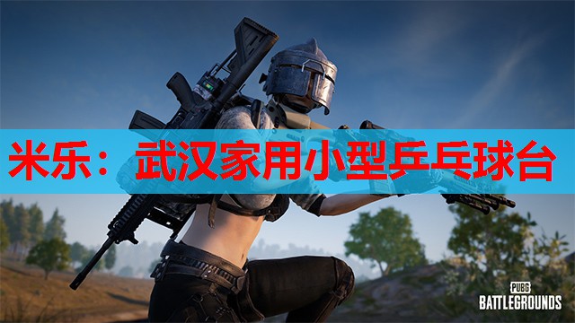 米乐:武汉家用小型乒乓球台