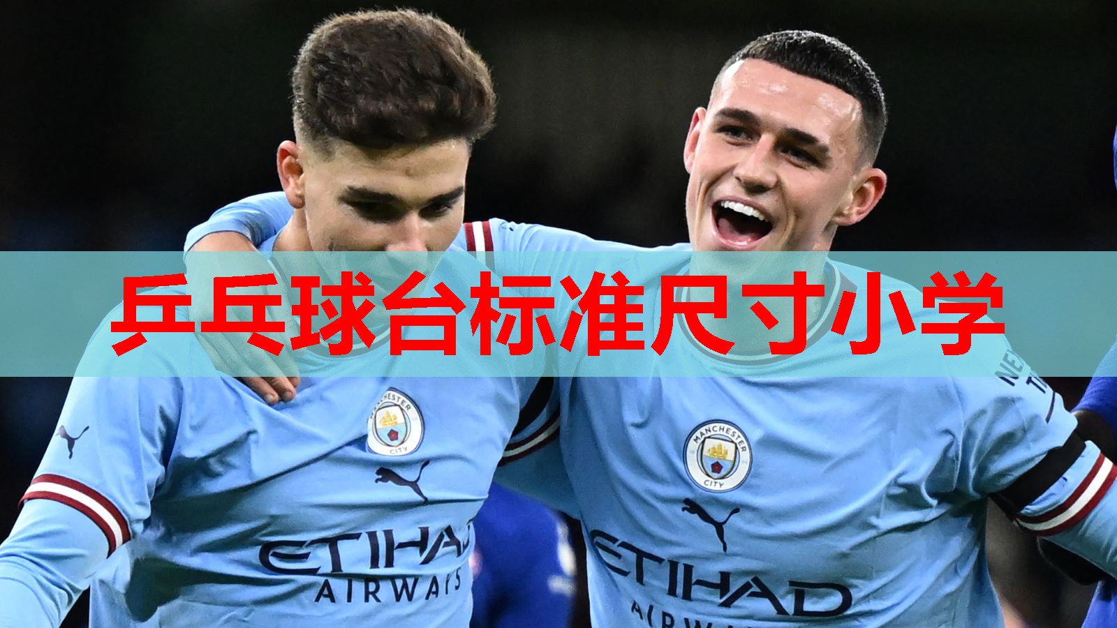 乒乓球台标准尺寸小学