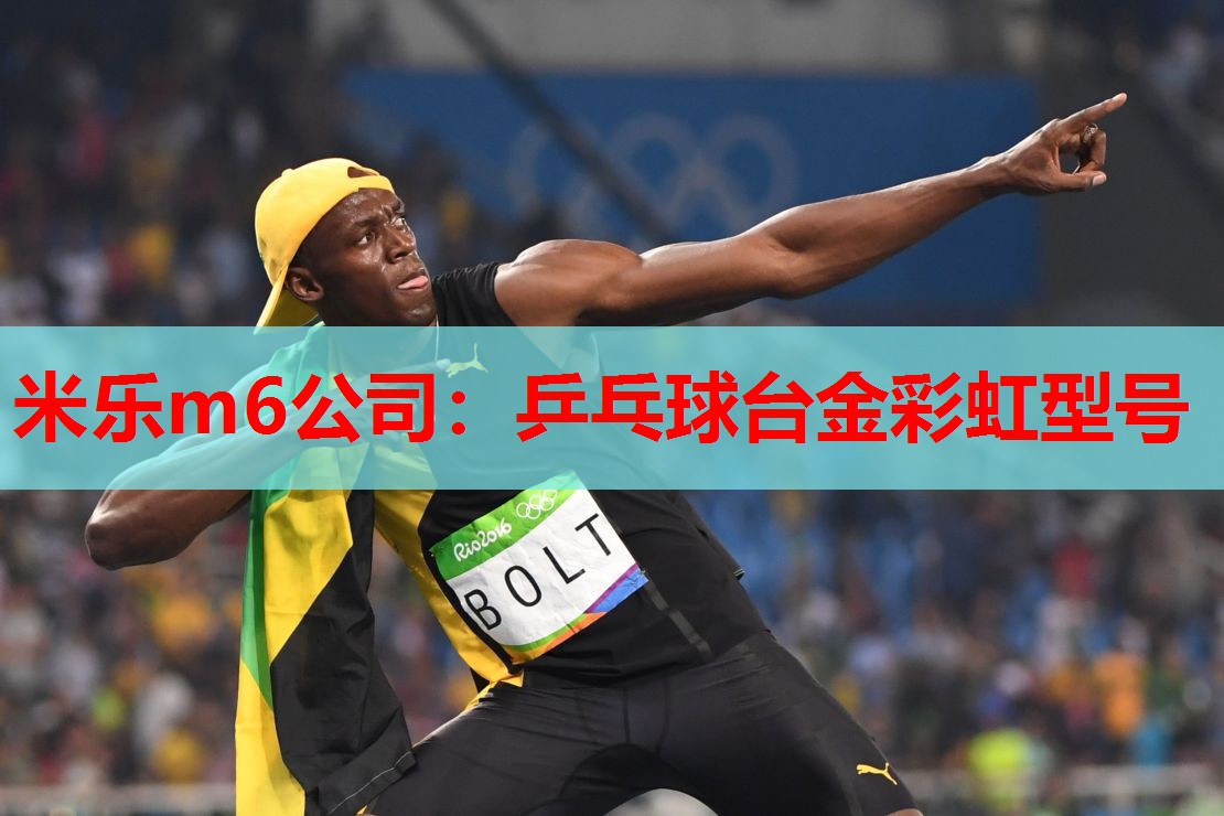 米乐m6公司:乒乓球台金彩虹型号