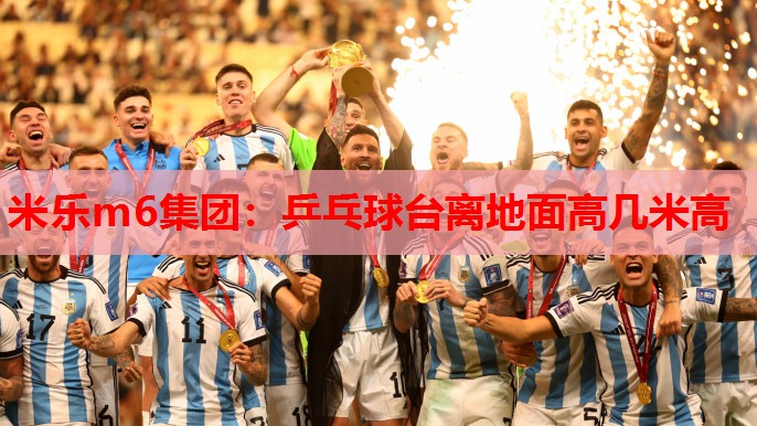 米乐m6集团:乒乓球台离地面高几米高