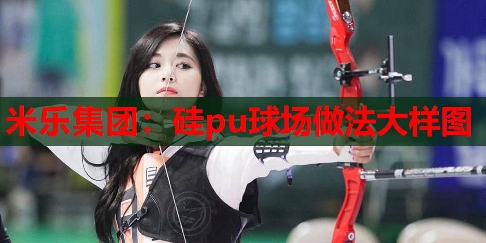 米乐集团:硅pu球场做法大样图