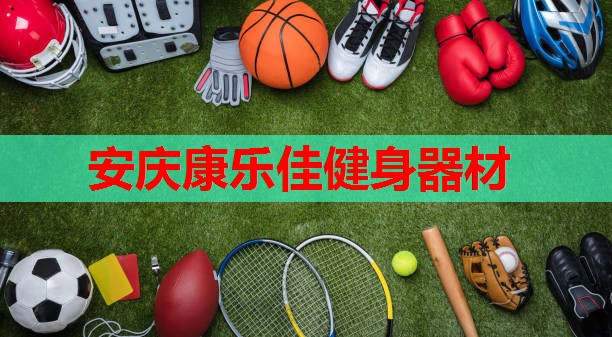 安庆康乐佳健身器材