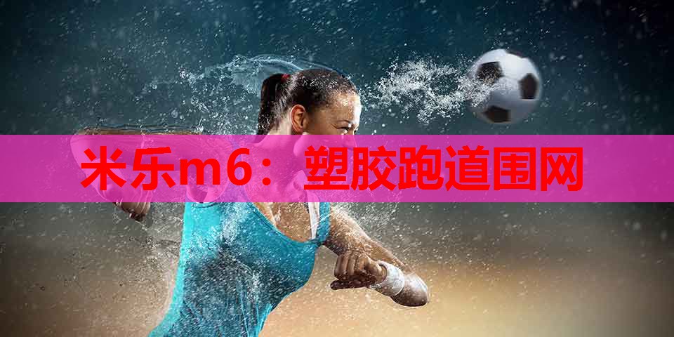 米乐m6:塑胶跑道围网
