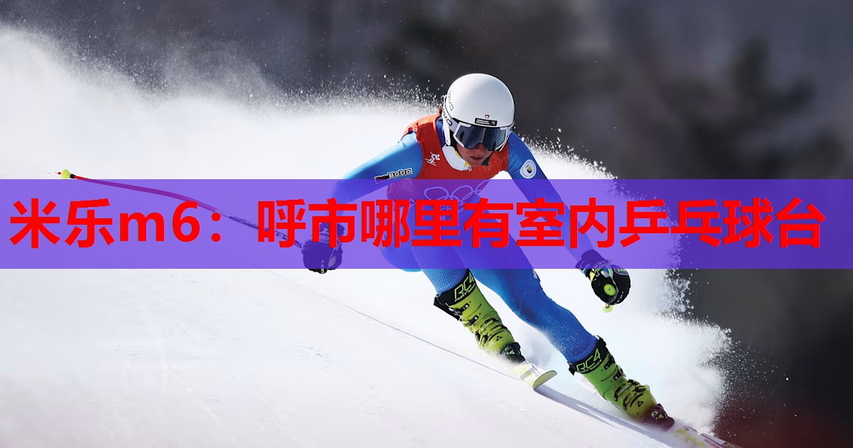 米乐m6:呼市哪里有室内乒乓球台