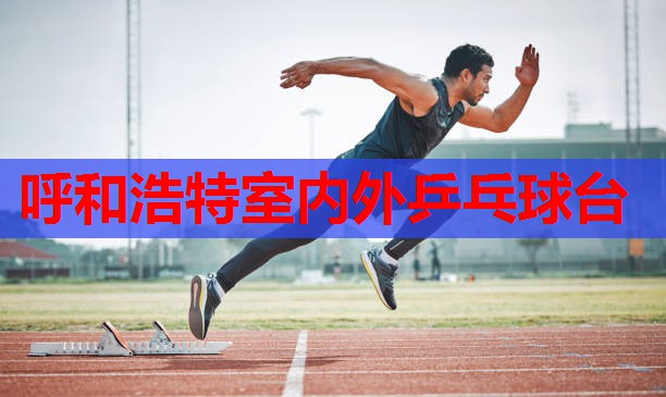 呼和浩特室内外乒乓球台