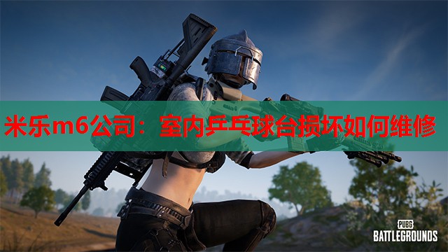 米乐m6公司:室内乒乓球台损坏如何维修