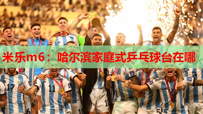 米乐m6:哈尔滨家庭式乒乓球台在哪