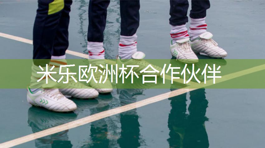 室内悬浮乒乓球台尺寸