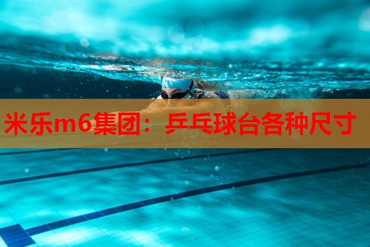 乒乓球台各种尺寸