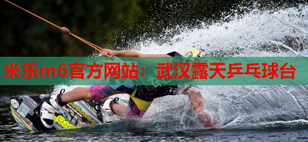 武汉露天乒乓球台