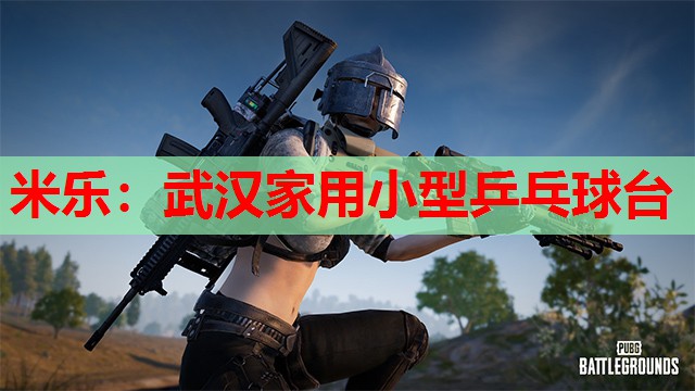 武汉家用小型乒乓球台