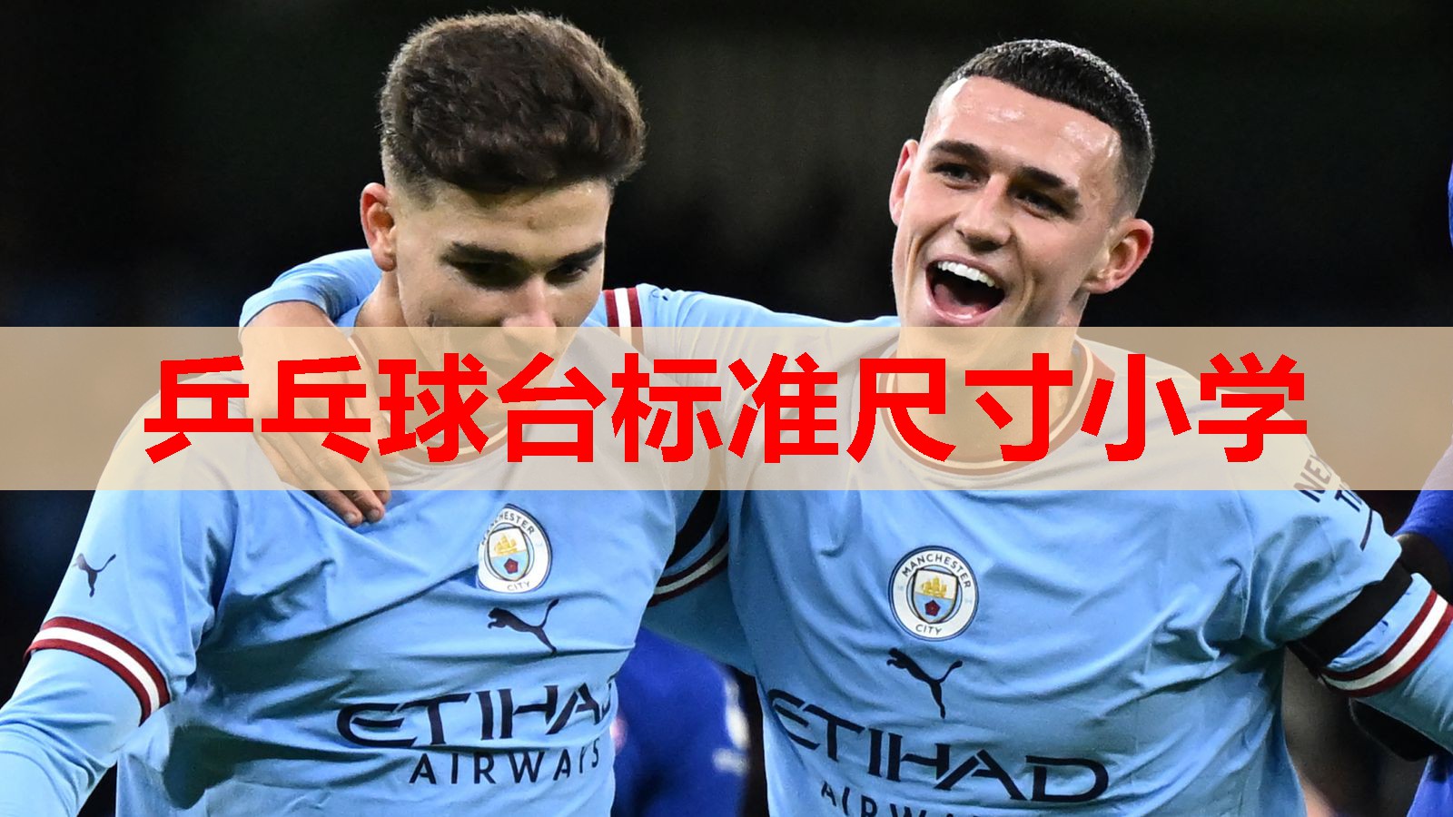 乒乓球台标准尺寸小学