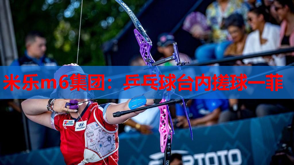 乒乓球台内搓球一菲