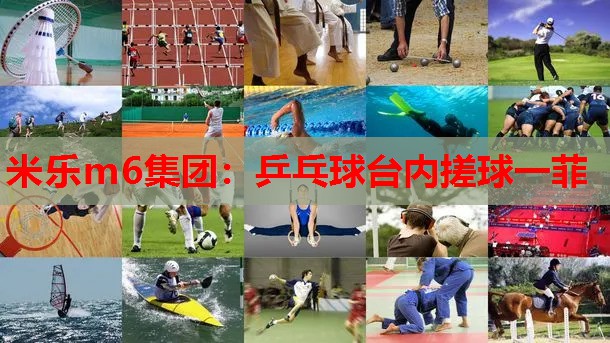 乒乓球台内搓球一菲