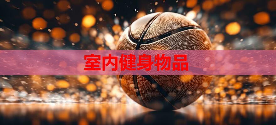 室内健身物品