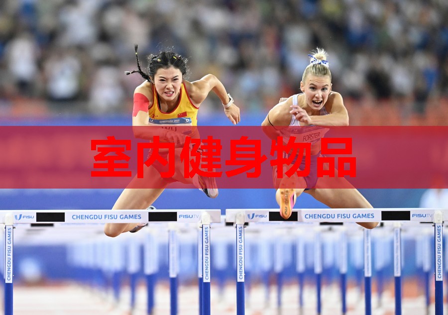 室内健身物品