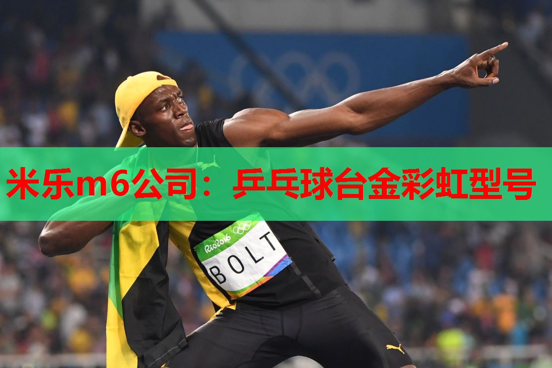 乒乓球台金彩虹型号