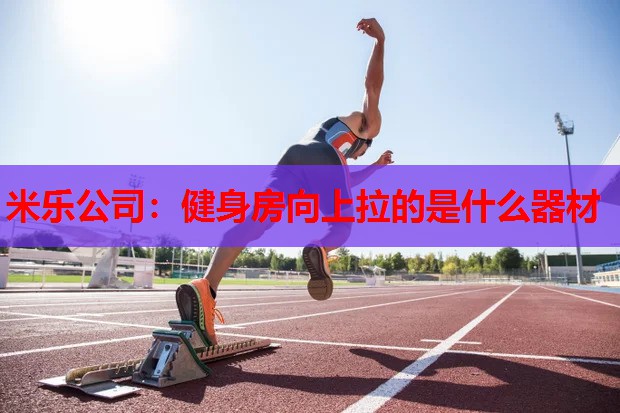 健身房向上拉的是什么器材