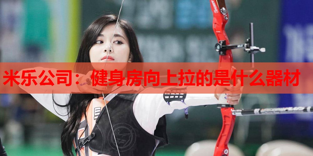 健身房向上拉的是什么器材