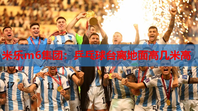 乒乓球台离地面高几米高