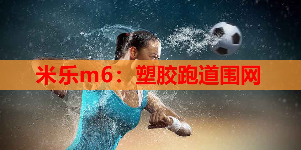 塑胶跑道围网
