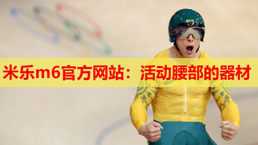 活动腰部的器材