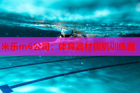 体育器材腹肌训练器