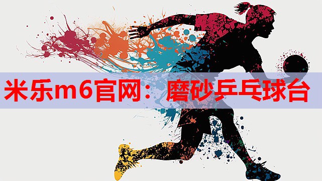 磨砂乒乓球台