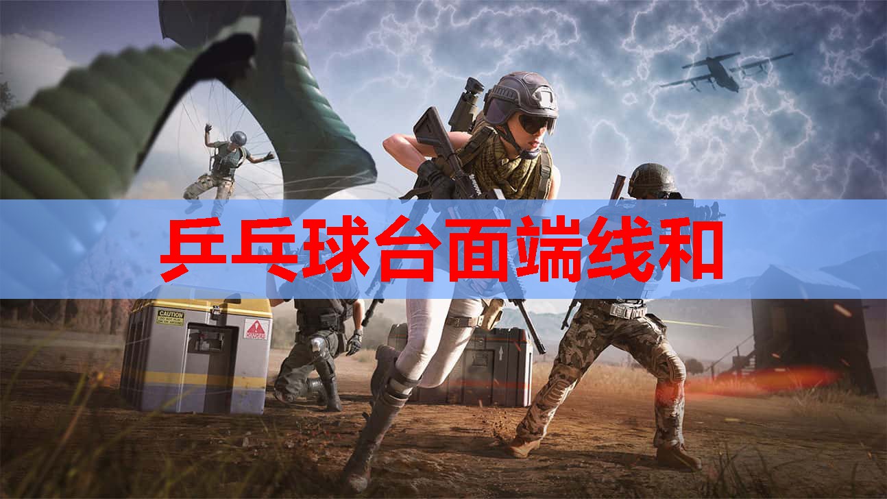 乒乓球台面端线和
