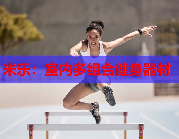 室内多组合健身器材