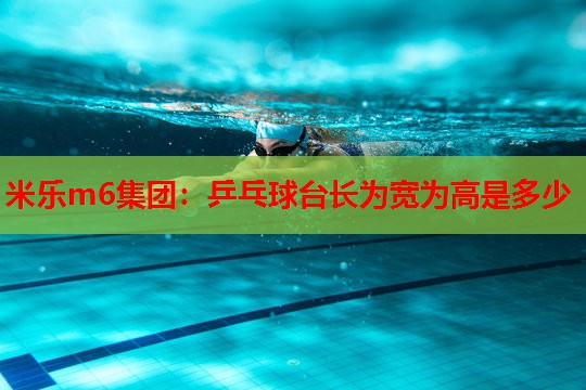乒乓球台长为宽为高是多少