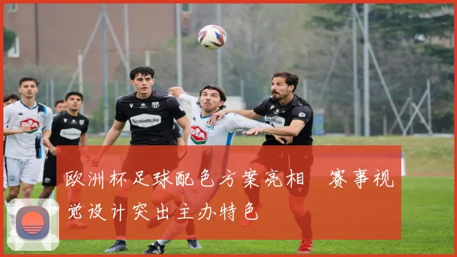 欧洲杯足球配色方案亮相　赛事视觉设计突出主办特色