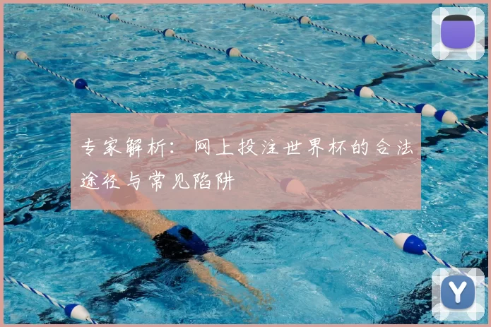 专家解析:网上投注世界杯的合法途径与常见陷阱