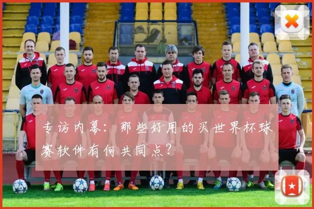 专访内幕:那些好用的买世界杯球赛软件有何共同点?
