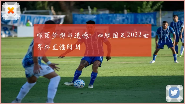 绿茵梦想与遗憾:回顾国足2022世界杯直播时刻