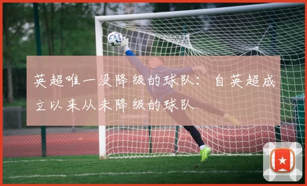 英超唯一没降级的球队：自英超成立以来从未降级的球队