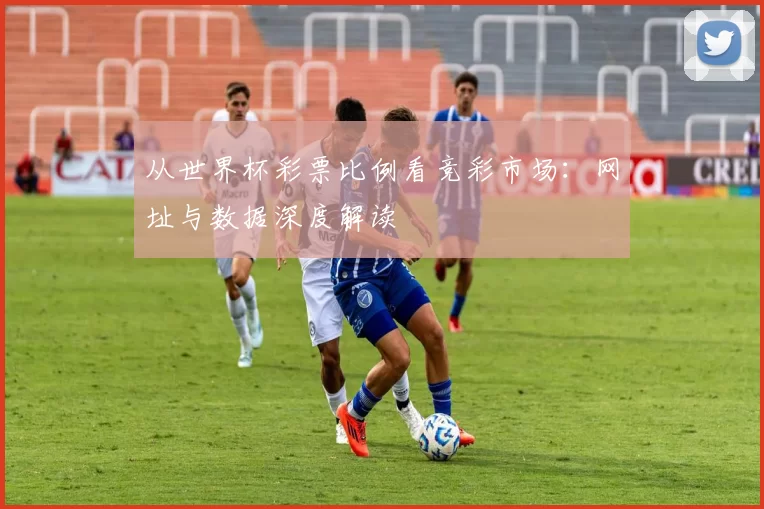 从世界杯彩票比例看竞彩市场：网址与数据深度解读