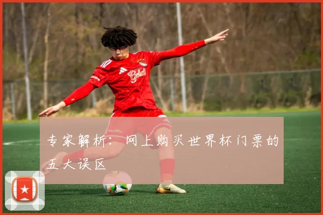 专家解析：网上购买世界杯门票的五大误区
