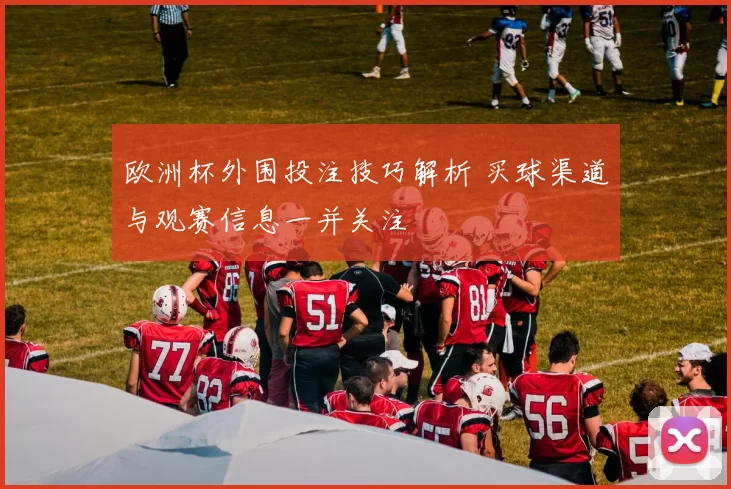 欧洲杯外围投注技巧解析 买球渠道与观赛信息一并关注