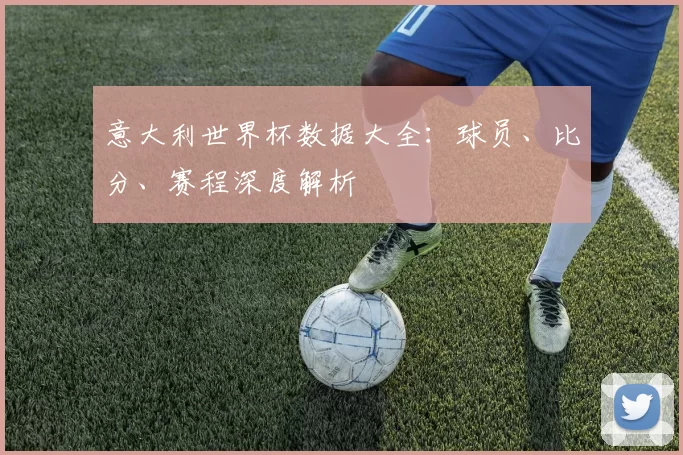 意大利世界杯数据大全:球员、比分、赛程深度解析