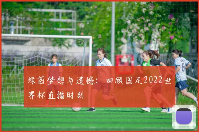 绿茵梦想与遗憾:回顾国足2022世界杯直播时刻