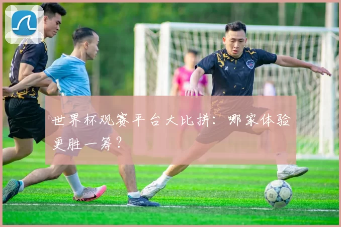 世界杯观赛平台大比拼：哪家体验更胜一筹？