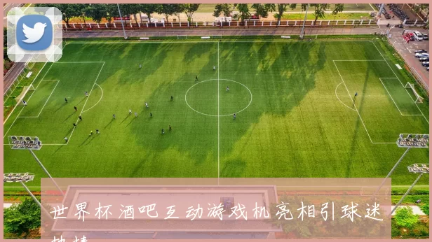 世界杯酒吧互动游戏机亮相引球迷热捧