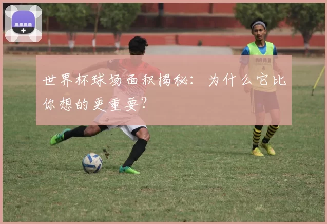 世界杯球场面积揭秘:为什么它比你想的更重要?