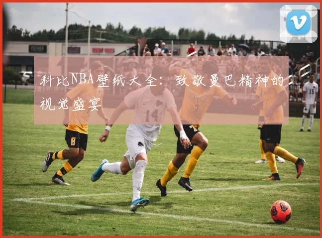 科比NBA壁纸大全：致敬曼巴精神的视觉盛宴